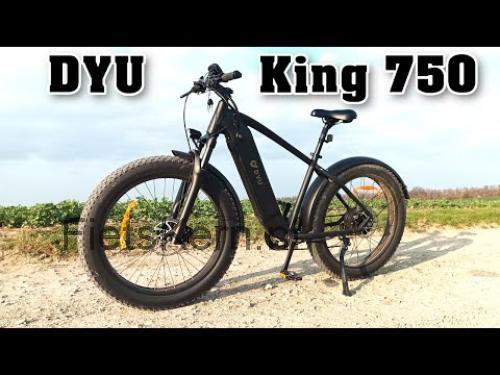 DYU King specificaties